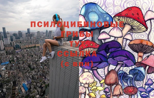 прущие грибы Баксан