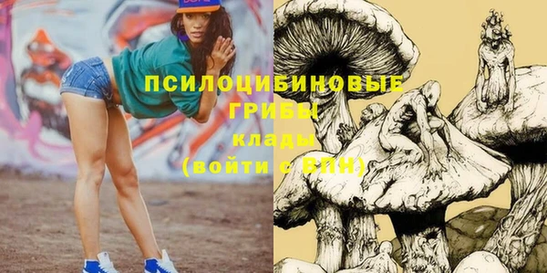 прущие грибы Арсеньев