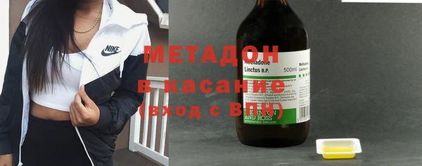 прущие грибы Арсеньев