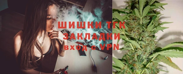 прущие грибы Арсеньев