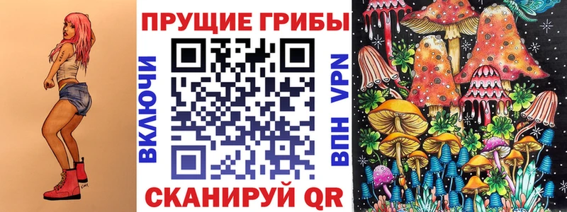 ОМГ ОМГ ссылки  Отрадная  Галлюциногенные грибы мицелий 